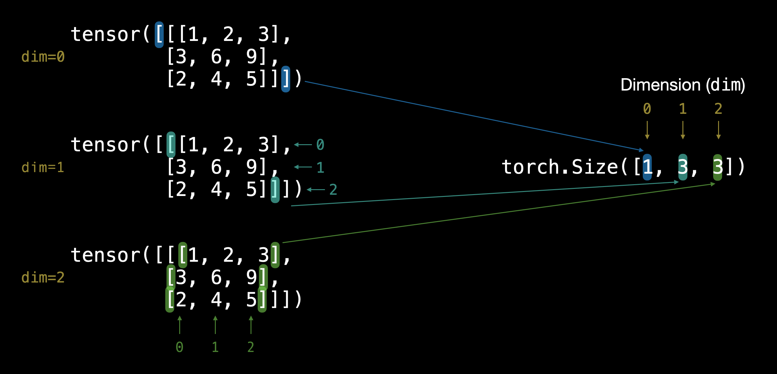 PytorchDifferentTensorDimension