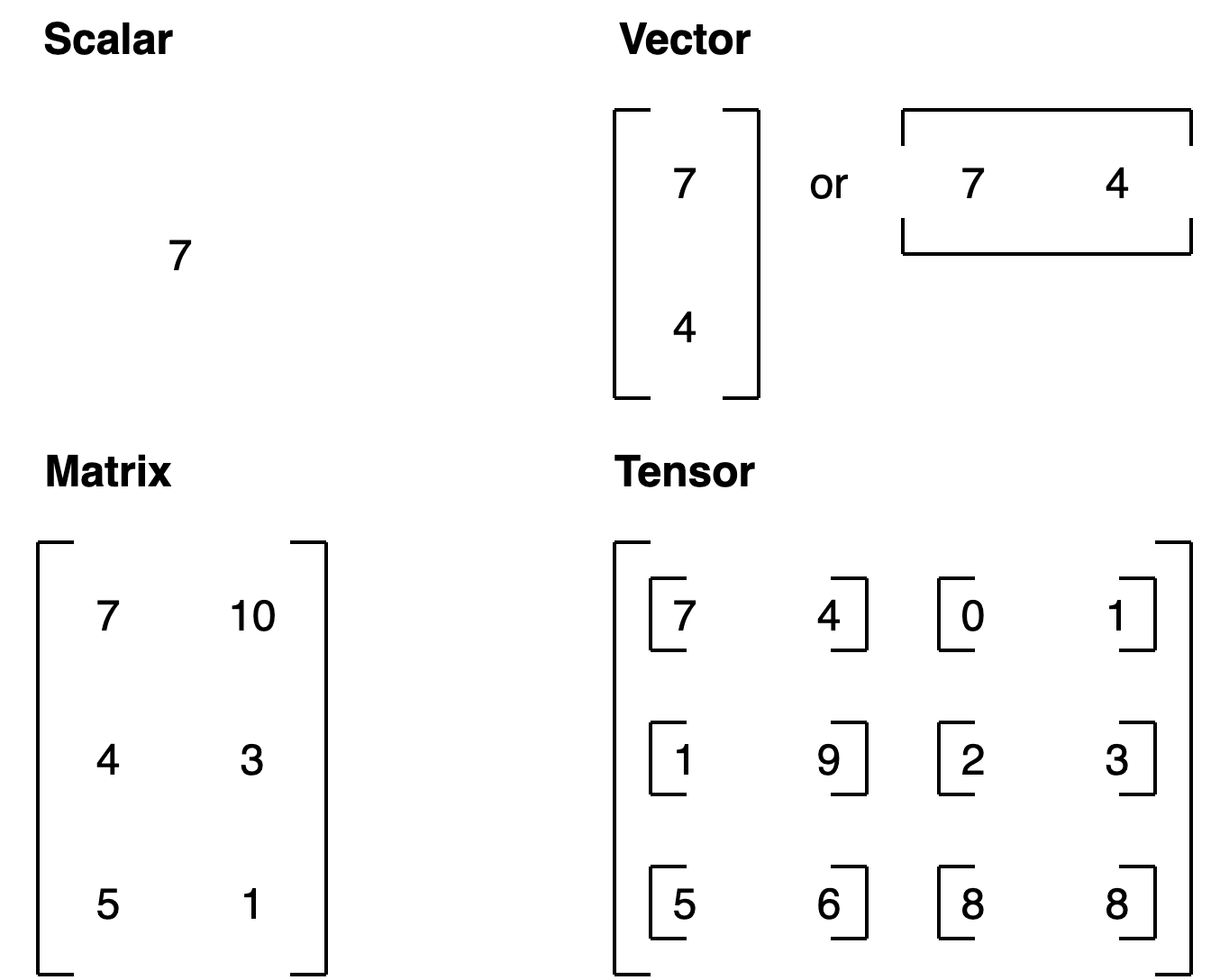 ScalarVectorMatrixTensor